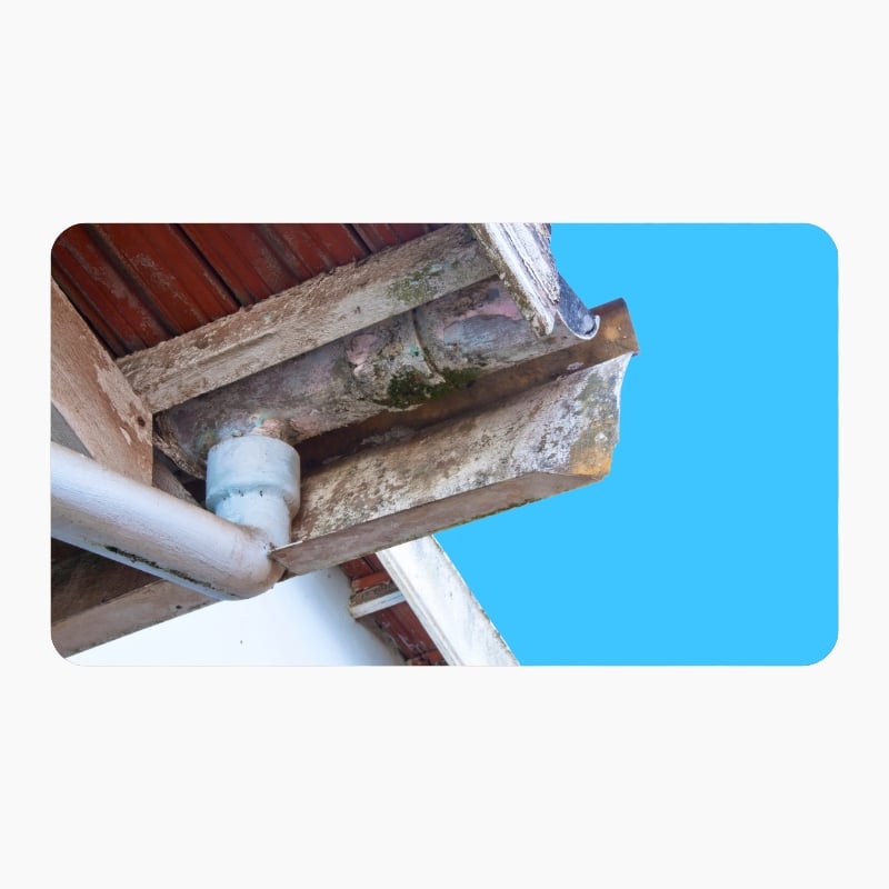 Image presents Downpipe Repair and Roof Gutter Cleaning