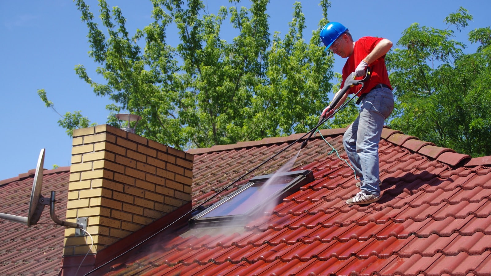dynamic roofing cleaner