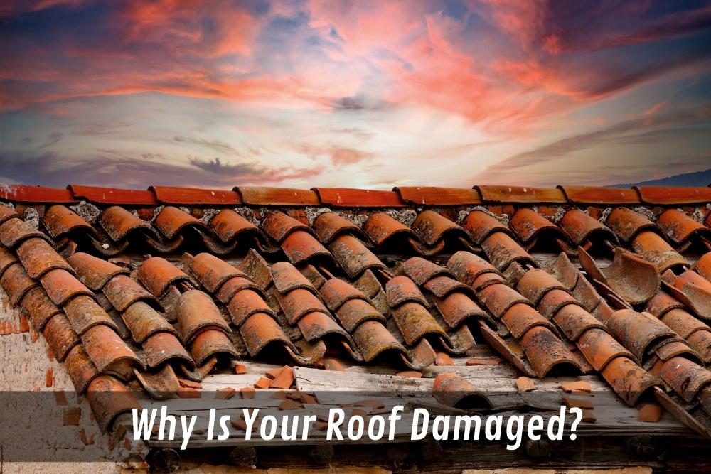 Image presents Why Is Your Roof Damaged